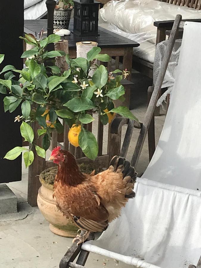 Le Barp Ostal 158 Bed & Breakfast エクステリア 写真